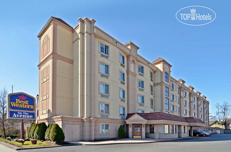 Hotelier's photos Best Western On The Avenue 3*