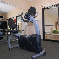 Comfort Inn University Amherst 