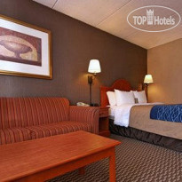 Comfort Inn University Amherst 