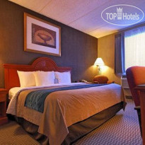 Comfort Inn University Amherst 