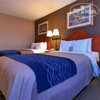 Comfort Inn University Amherst 