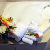 Holiday Inn Express Albany - Downtown