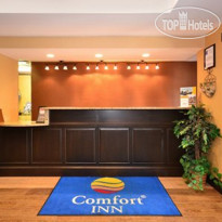 Comfort Inn West Asheville