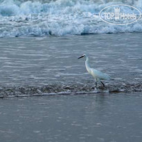 Hilton Garden Inn Outer Banks Kitty Hawk 