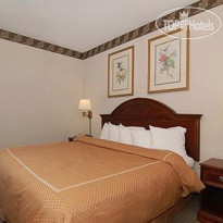 Comfort Suites University Area 