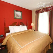 Comfort Suites Airport 