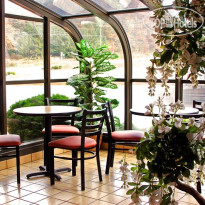 Best Western Of Murphy 