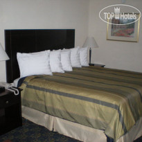 Best Western Plus Executive Inn Gastonia 