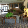 Best Western Yadkin Valley Inn & Suites 