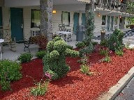 New photos from tourists Cherokee Lodge 3*