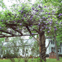 Inn at Bingham School 