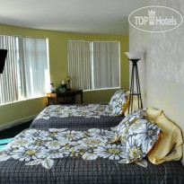 The Hurricane Resort 