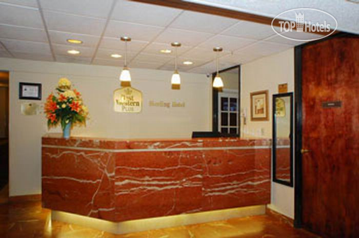 New photos from tourists Best Western Plus Sterling Hotel & Suites 3*