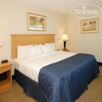 Holiday Inn Raleigh Downtown, an IHG Hotel 