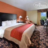 Comfort Inn University Durham