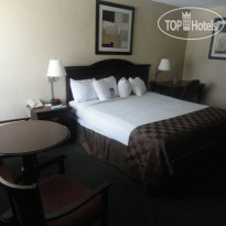 Best Western Executive Inn 