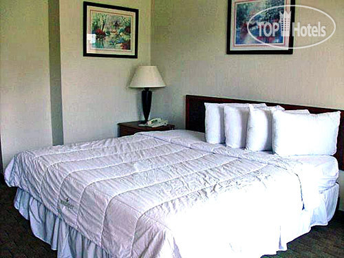 Новые добавленные фото туристов Motel 6 Conyers  2*