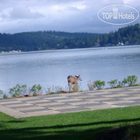 Alderbrook Resort & Spa