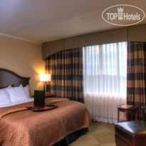 Embassy Suites Baltimore - at BWI Airport
