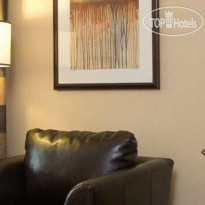 Embassy Suites Baltimore - at BWI Airport