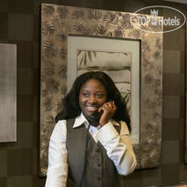Embassy Suites Baltimore - at BWI Airport