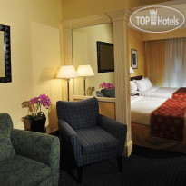 SpringHill Suites Baltimore BWI Airport 