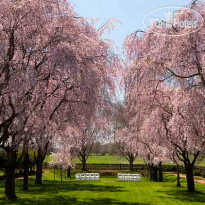 Aspen Wye River Conference Center 