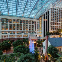 Gaylord National Resort & Convention Center