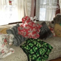 Enchanted Nights Bed & Breakfast 