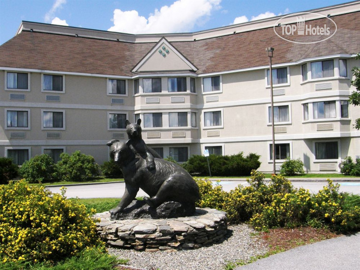 Hotel photo Black Bear Inn Conference Center & Suites 3*