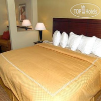 Comfort Suites Airport South 