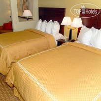 Comfort Suites Airport South 