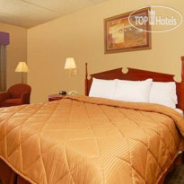 Comfort Inn & Suites Leeds