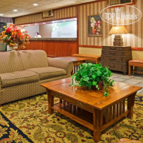 Holiday Inn Alexandria 