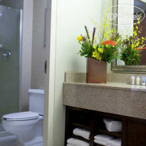 DoubleTree by Hilton Hotel Rochester - Mayo Clinic Area