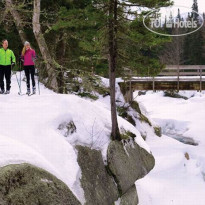 Omni Mount Washington Resort 