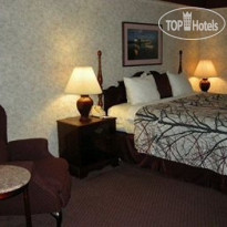 Best Western Plus Wynwood Hotel & Suites 