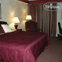 Best Western Plus Wynwood Hotel & Suites 