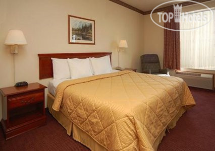 Новые добавленные фото туристов Comfort Inn Evanston 2*