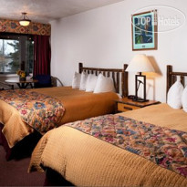 Quality Inn & Suites 49er
