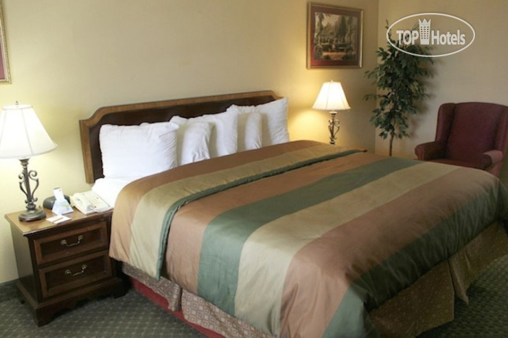 New photos from tourists Best Western Music City Inn 3*