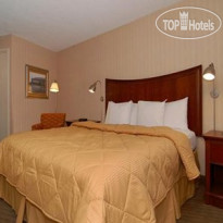 Comfort Inn Downtown 