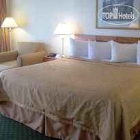 Best Western Thunderbird Motel Standard guest room