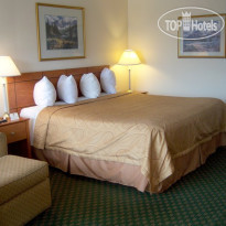 Best Western Thunderbird Motel Standard guest room