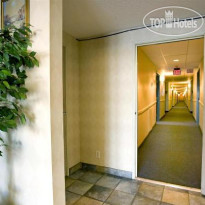 Americas Best Value Inn-Clarksville 