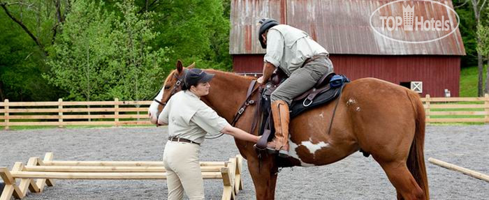 New photos from tourists Blackberry Farm 5*
