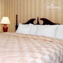 Comfort Inn & Suites Nashville 