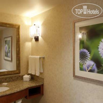 Hilton Garden Inn Cedar Falls 