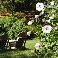 Centennial Inn Hotel & Apartments 