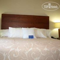 Homewood Suites by Hilton St. Louis Riverport- Airport West 